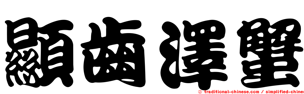 顯齒澤蟹