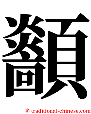 顲 serif font