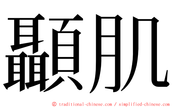 顳肌 ming font