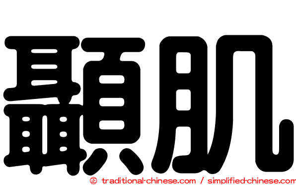 顳肌