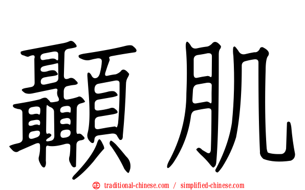 顳肌