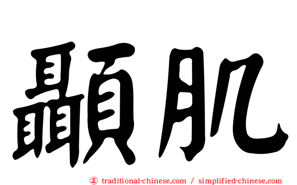 顳肌