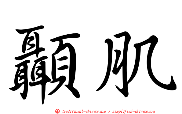 顳肌
