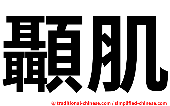 顳肌