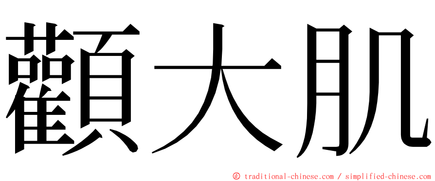 顴大肌 ming font