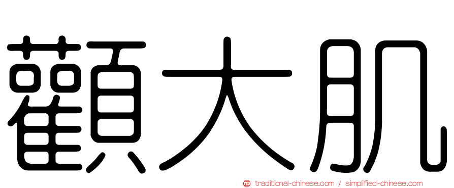 顴大肌