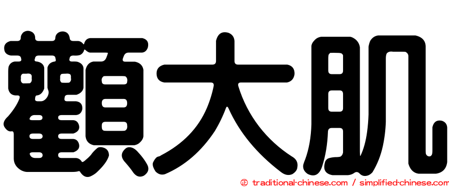 顴大肌