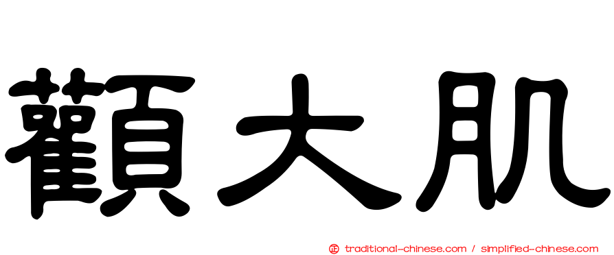 顴大肌