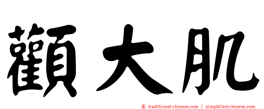 顴大肌