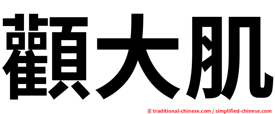 顴大肌