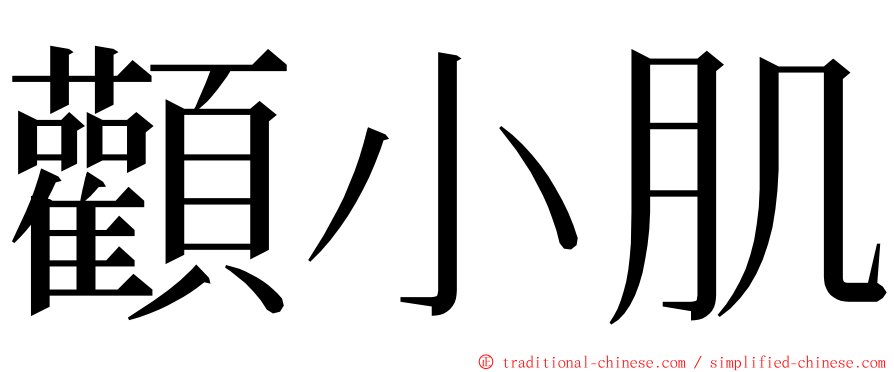 顴小肌 ming font