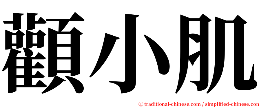 顴小肌 serif font