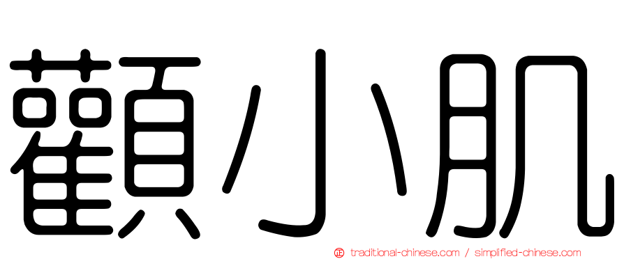 顴小肌