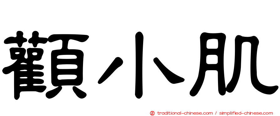顴小肌
