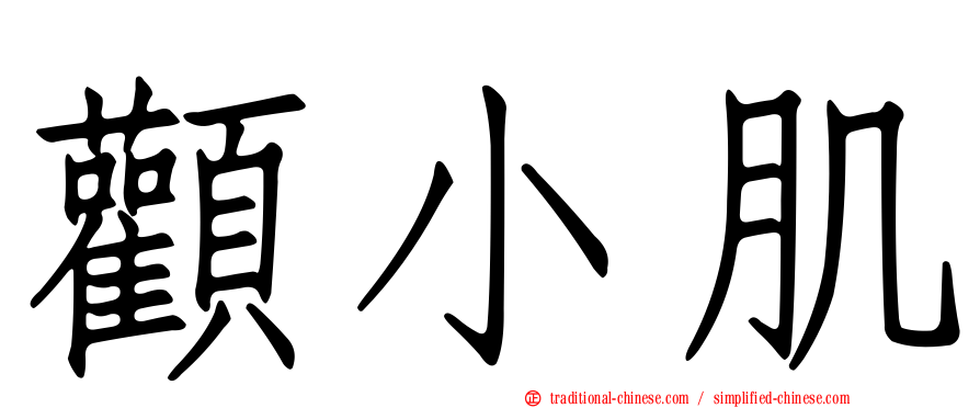 顴小肌