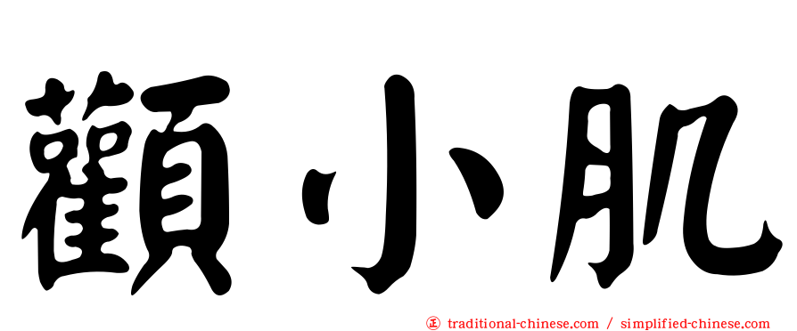 顴小肌