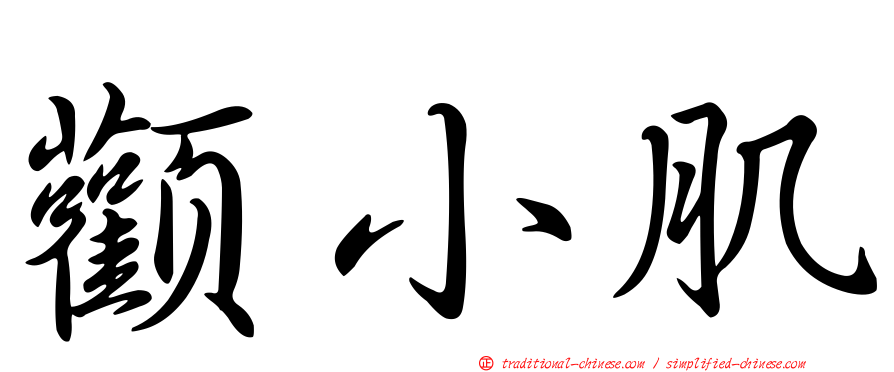 顴小肌