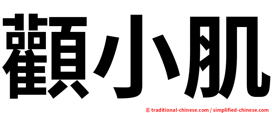 顴小肌