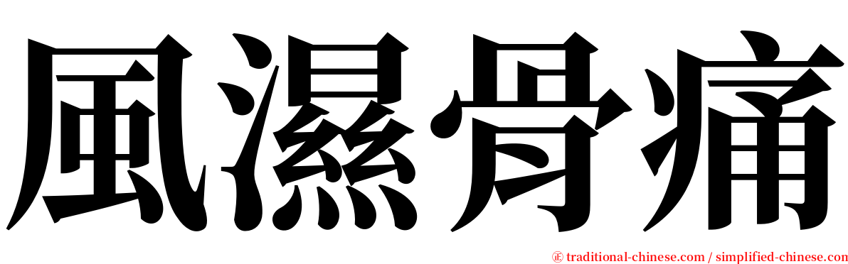 風濕骨痛 serif font