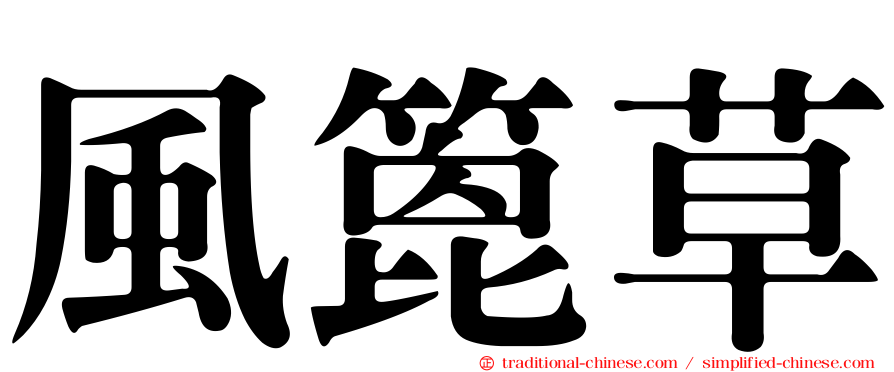風篦草