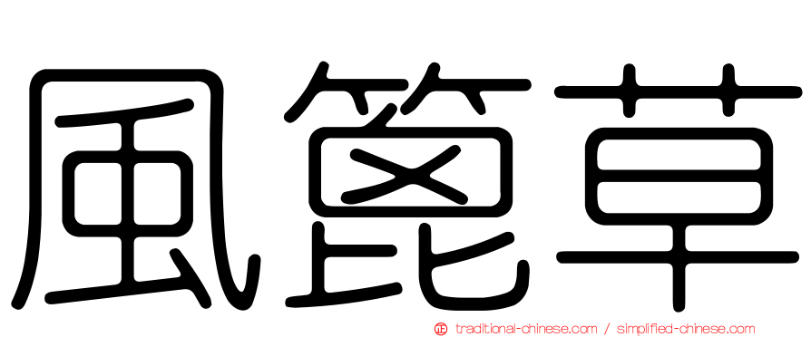 風篦草