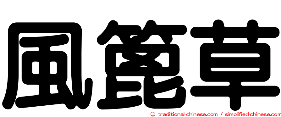 風篦草