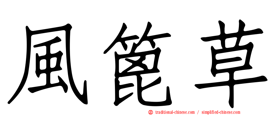風篦草
