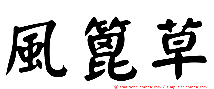 風篦草