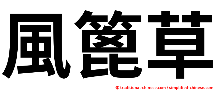 風篦草