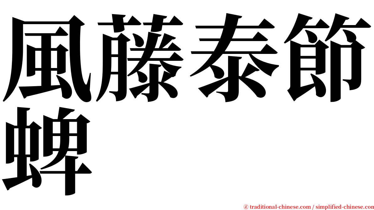 風藤泰節蜱 serif font