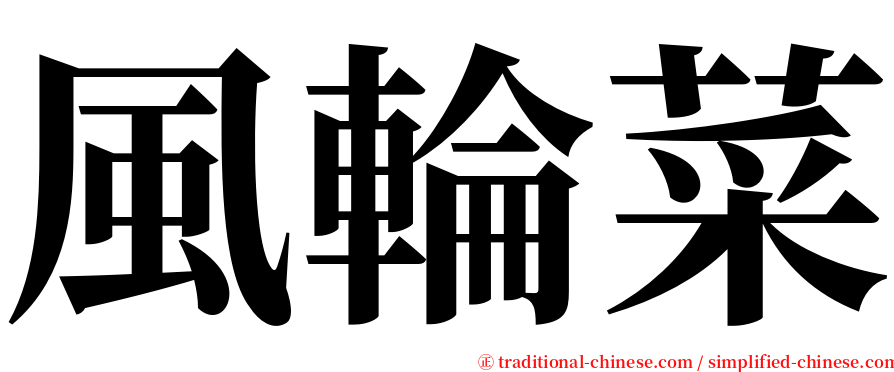 風輪菜 serif font