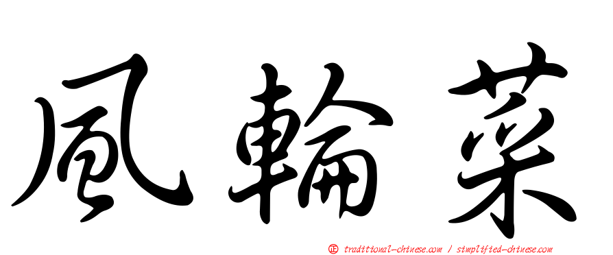 風輪菜