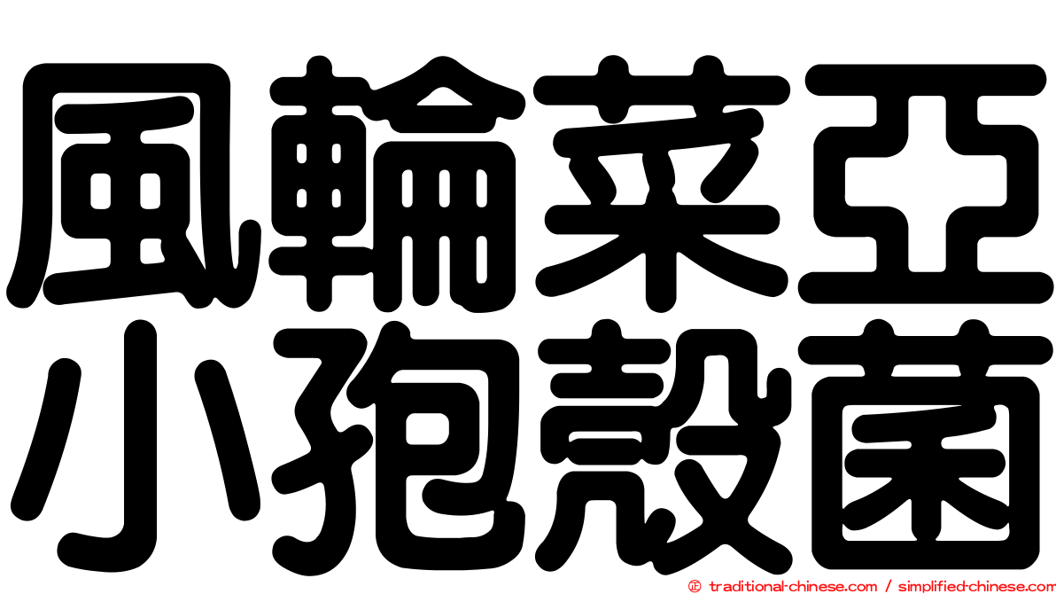 風輪菜亞小孢殼菌