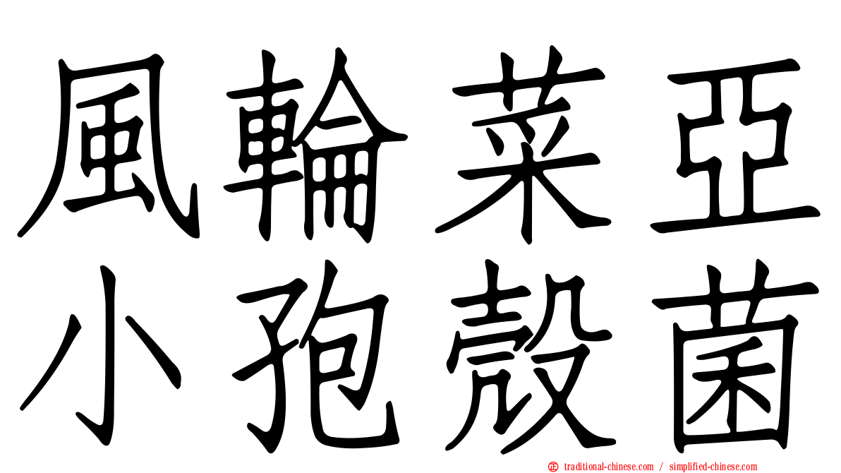風輪菜亞小孢殼菌