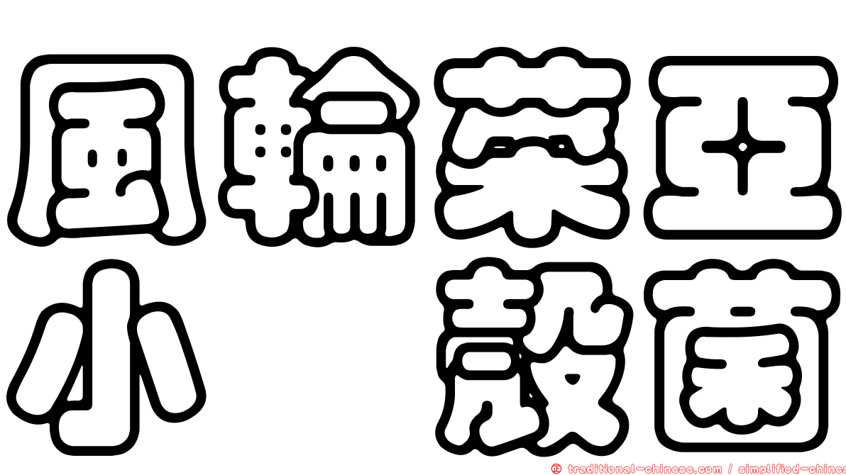 風輪菜亞小孢殼菌