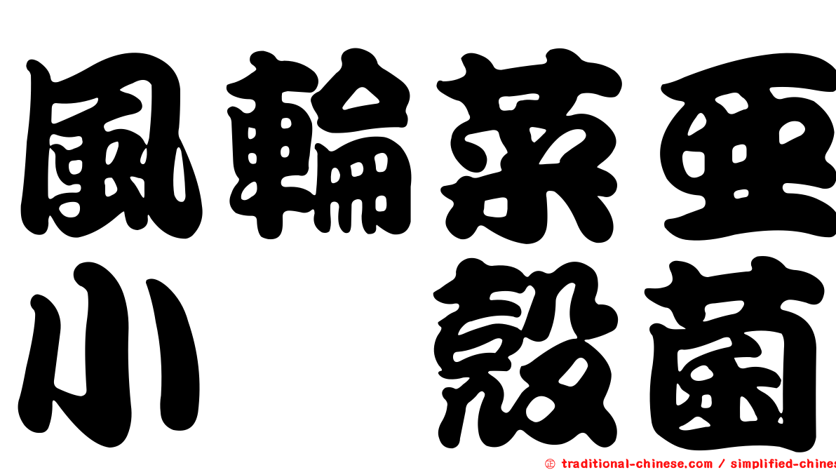 風輪菜亞小孢殼菌