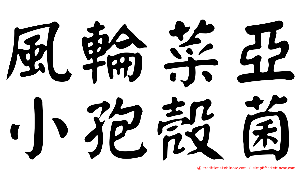 風輪菜亞小孢殼菌