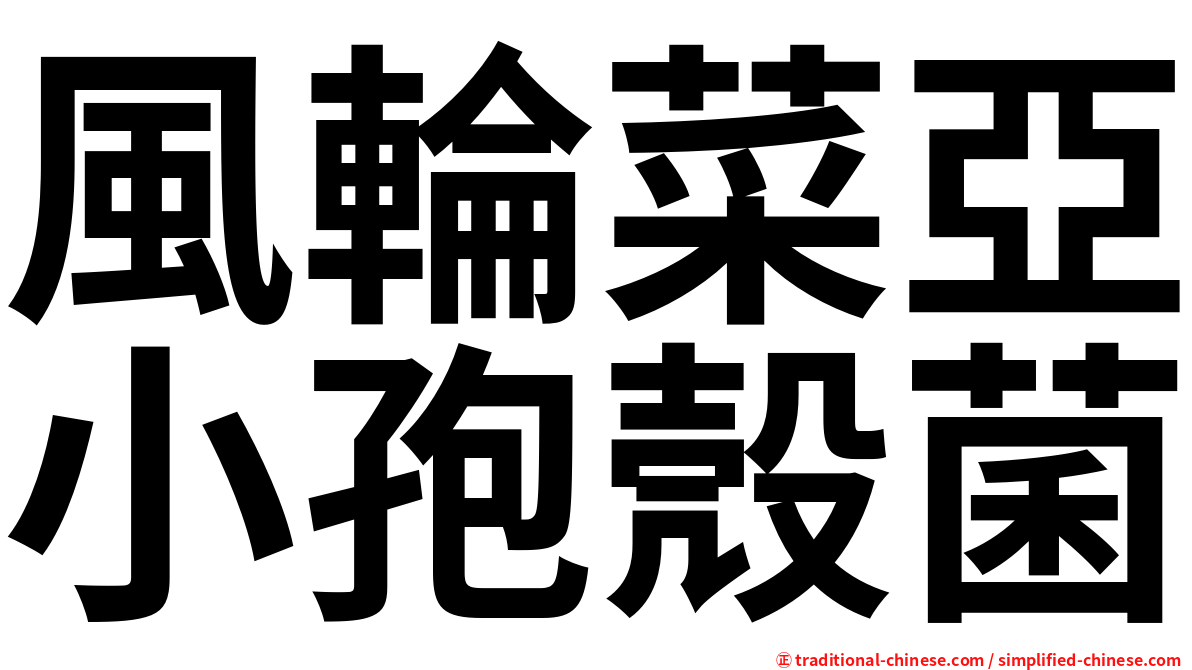 風輪菜亞小孢殼菌