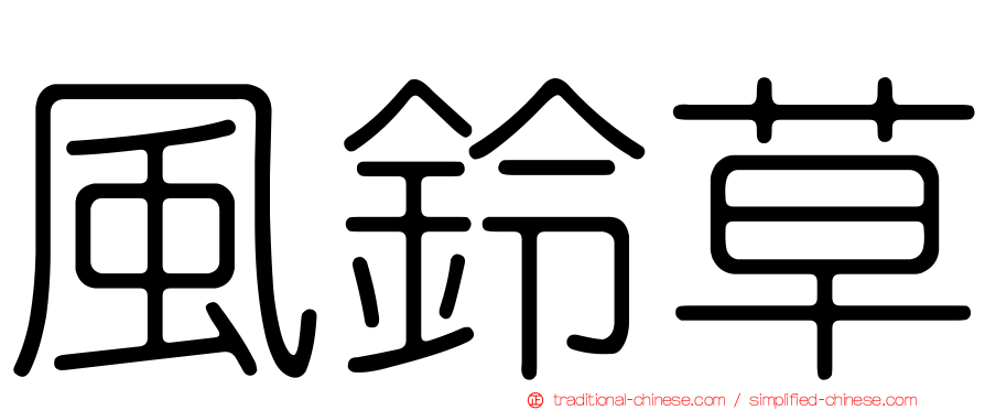 風鈴草