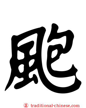 颮