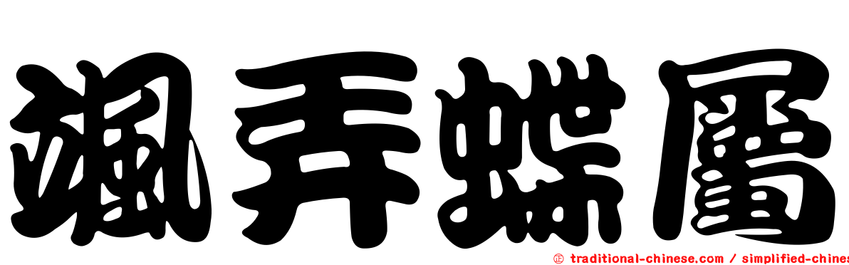 颯弄蝶屬