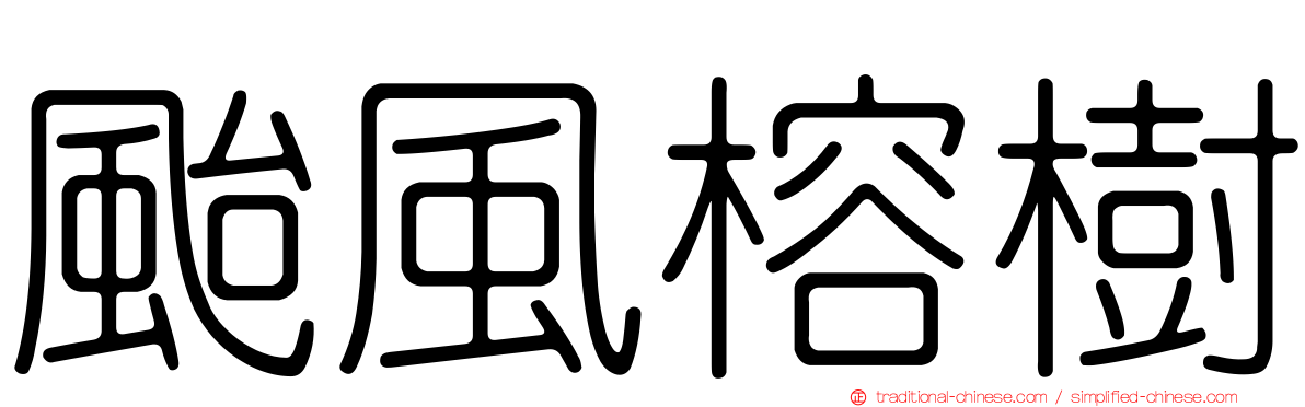 颱風榕樹