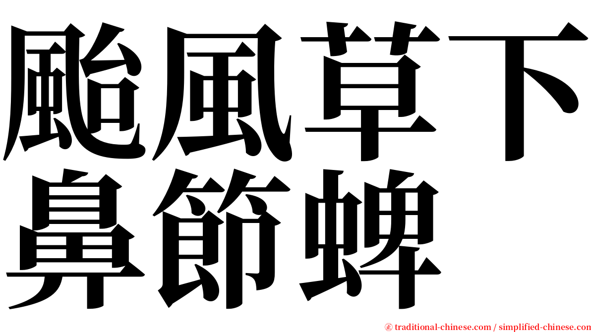 颱風草下鼻節蜱 serif font