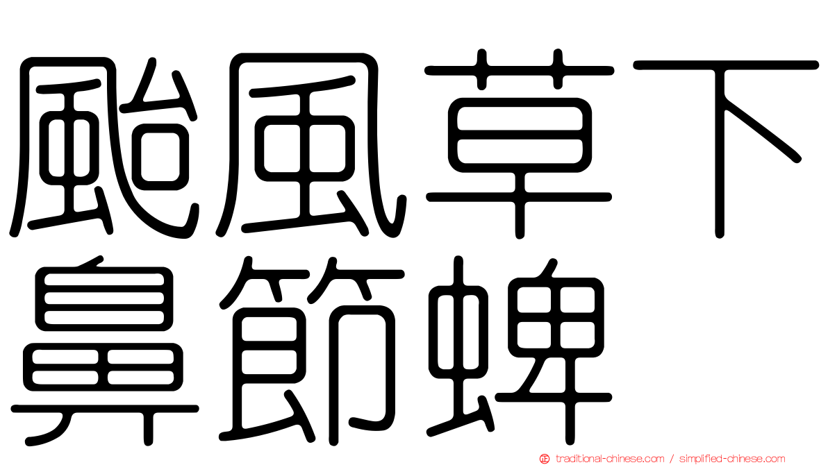 颱風草下鼻節蜱