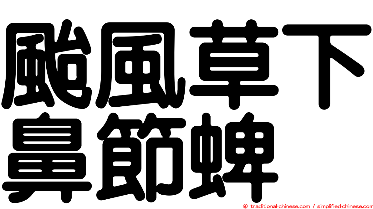 颱風草下鼻節蜱
