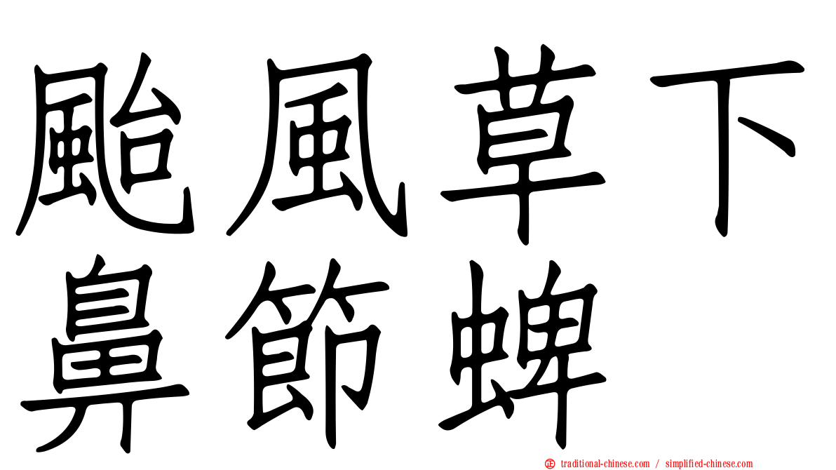 颱風草下鼻節蜱