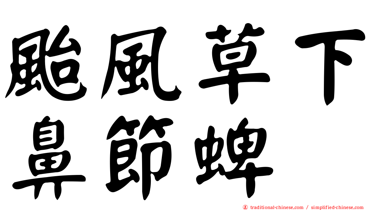 颱風草下鼻節蜱