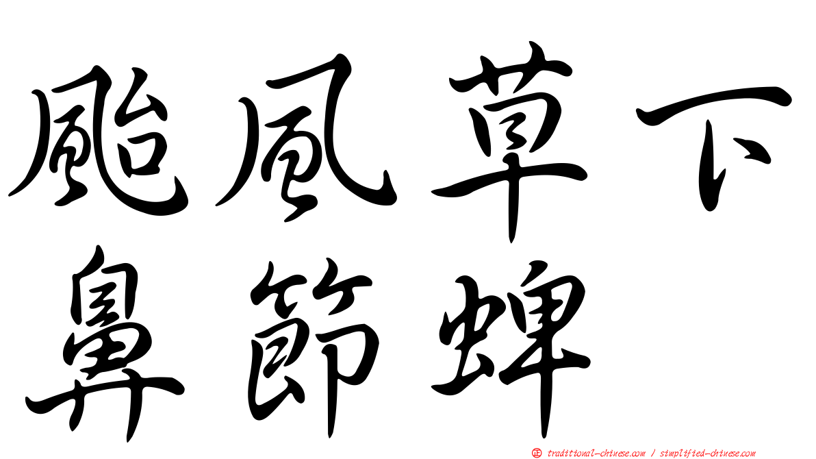 颱風草下鼻節蜱