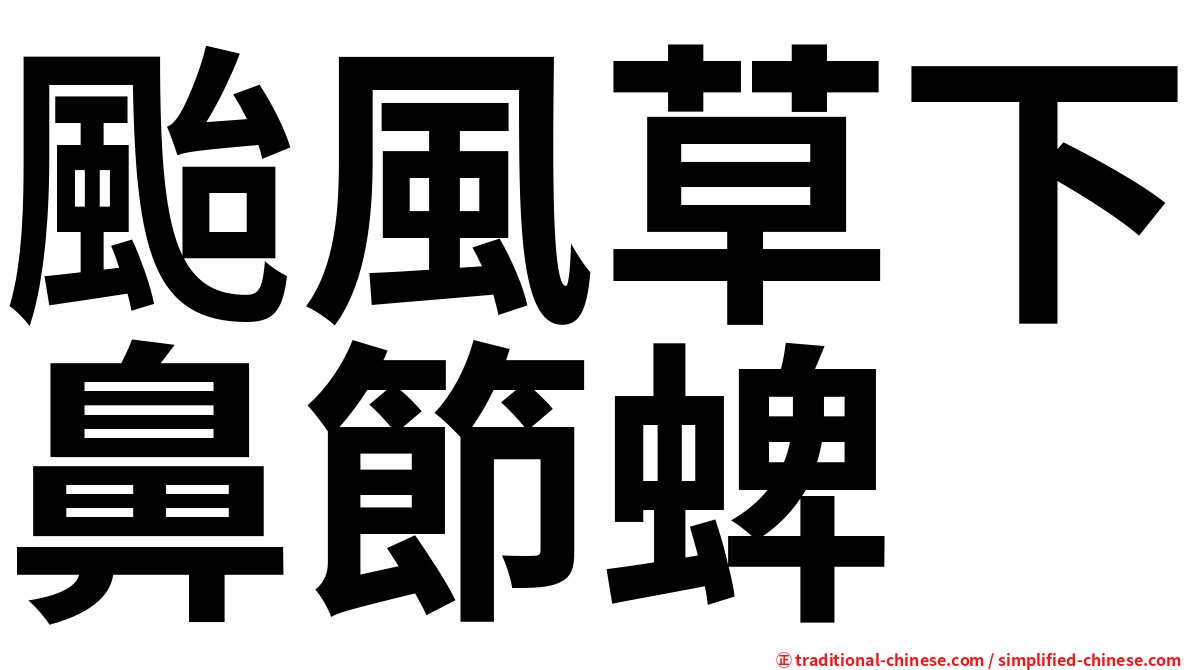 颱風草下鼻節蜱