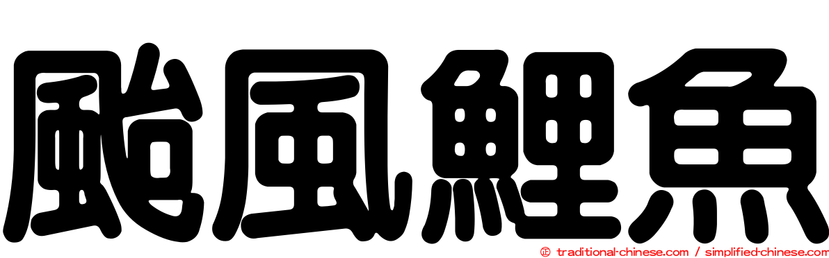 颱風鯉魚